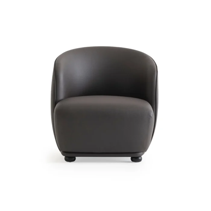 franka (55) FRANKA ACCENT CHAIR - Image 3
