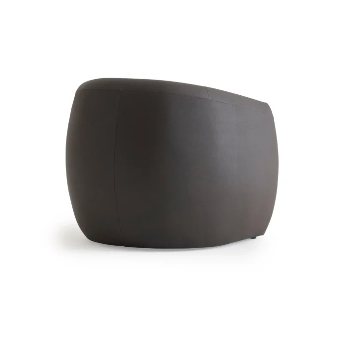 franka (56) FRANKA ACCENT CHAIR - Image 4